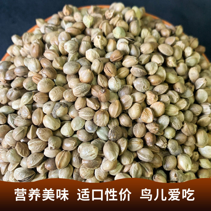 鸟食中麻子大颗粒火麻仁鹦鹉玄凤牡丹鸟粮零食饲料仓鼠松鼠粮,宠物/宠物食品及用品,鸟食,淘宝优惠券,粉丝福利购,淘宝优惠卷