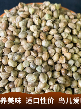 鸟食中麻子大颗粒火麻仁鹦鹉玄凤牡丹鸟粮零食饲料仓鼠松鼠粮