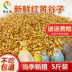 2025年黄谷子 红谷子/带壳小米/1:1混合粟谷鹦鹉 鸟粮鸟食新谷子