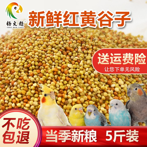黄谷子红谷子带壳小米混合500克