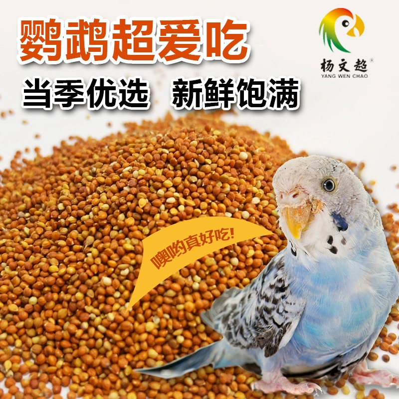 优质红亮全国一件包邮鸟食