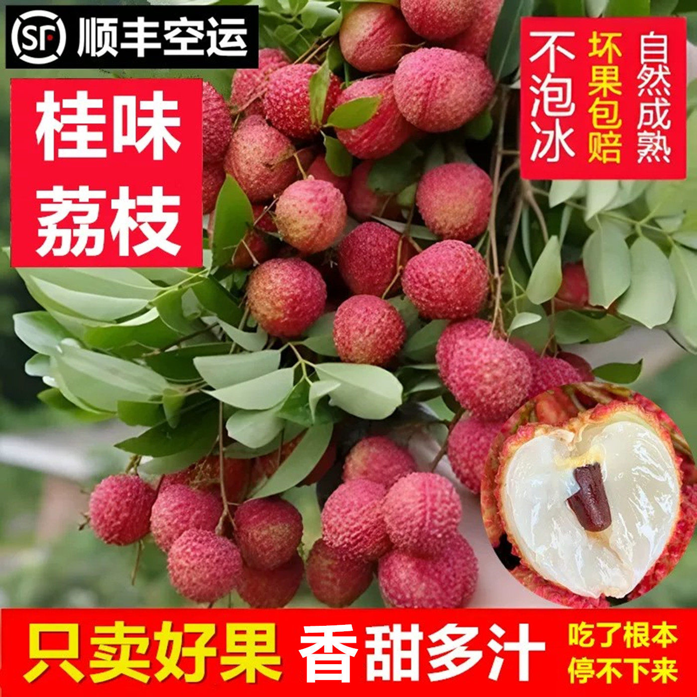 桂味荔枝  新鲜现摘现发水果妃子白糖笑罂广西灵山应季顺丰包邮