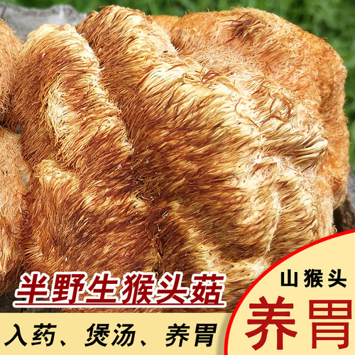 猴头菇干货新鲜菇500g纯天然无硫