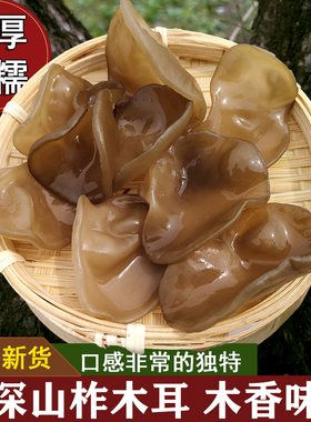 柞树木耳 肉厚软糯半野生木香椴木东北特产级秋耳黑木耳干货500g