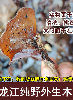 纯野外生木耳250g天然优质 黑木耳薄秋耳特产级 没添加软糯山耳子
