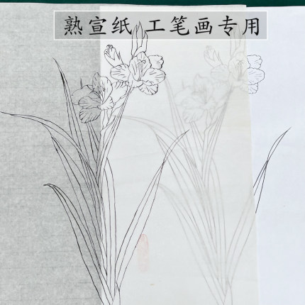 工笔画清水云母熟宣蝉衣蝉翼宣纸工笔画仿古白描临摹国画拓印薄款