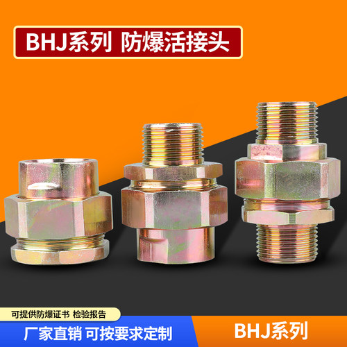 防爆电机螺纹活接头仪表接头