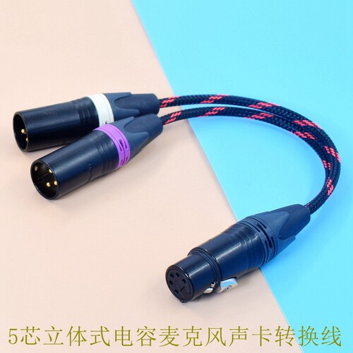 卡波伦芯母转双适用线麦克风