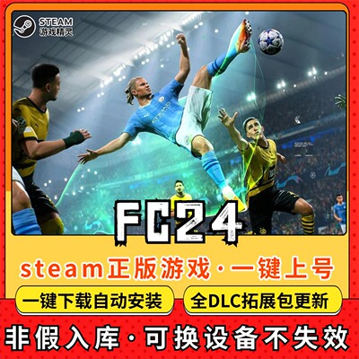 fc24国际足球全DLC 正版Steam游戏离线租号不限时 PC电脑游戏下载