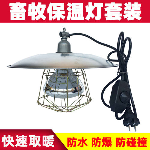 可调温度保温灯泡仔猪取暖灯泡