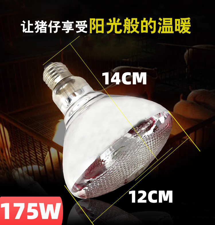加厚防水麻面红外线灯泡加热仔猪小鸡小鸭取暖畜牧兽用保温灯泡,畜牧/养殖物资,养殖保温灯,淘宝优惠券,粉丝福利购,淘宝优惠卷