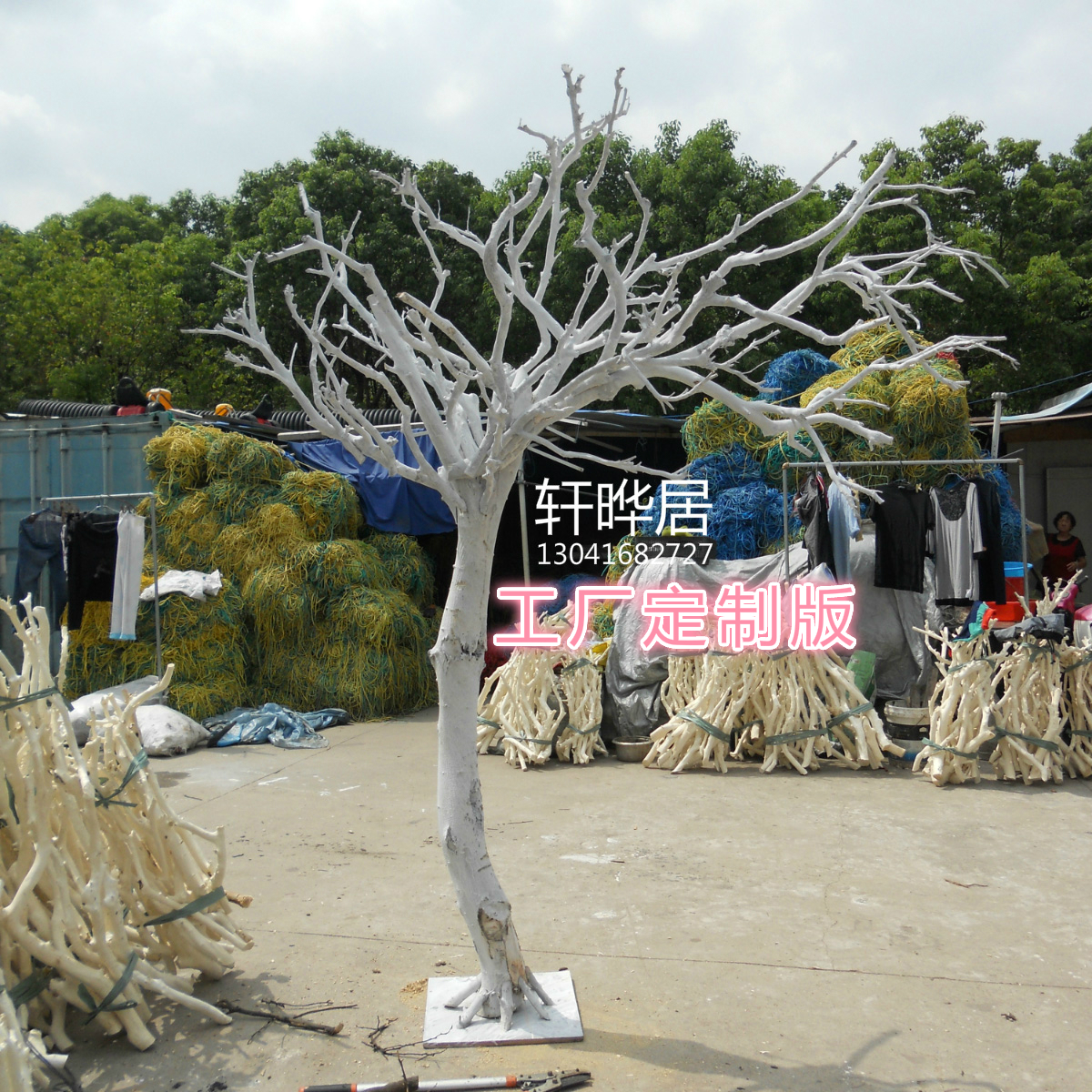 造型树 白树枝 歪脖子树 道具树 倾斜树 造型桔子树 石榴树 白树