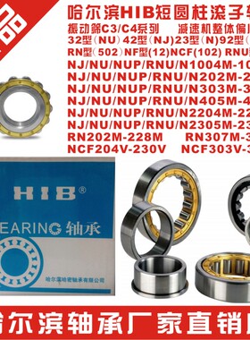 轴承 N NU NJ2312 2313 2314 2315 2316 2317 2318 2319E-M-EM/C4