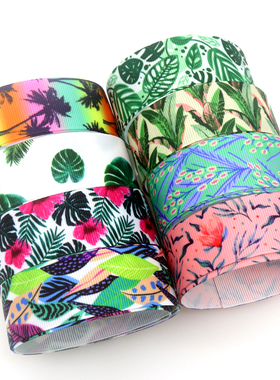 ins印花织带 缎带 绸带 彩带 蝴蝶结DIY卡通印刷罗纹带S13998