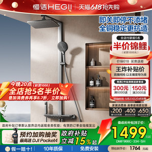 恒洁铜水路增压即关即停除垢花洒