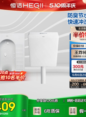 HEGII/恒洁蹲便器卫生间防臭陶瓷蹲厕便池水箱临时马桶家用蹲坑