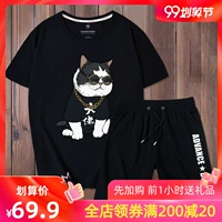 Quần short nam phù hợp với quần lửng ống rộng thể thao nam rộng 2019 mới hè hè giản dị 5 điểm quần - Quần short quần jogger kaki