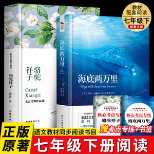 骆驼祥子和海底两万里朝花夕拾西游记猎人笔记白洋淀纪+镜花缘湘行散记正版书原著 七八九年级上下册必读名著初中生哈利波特创业史