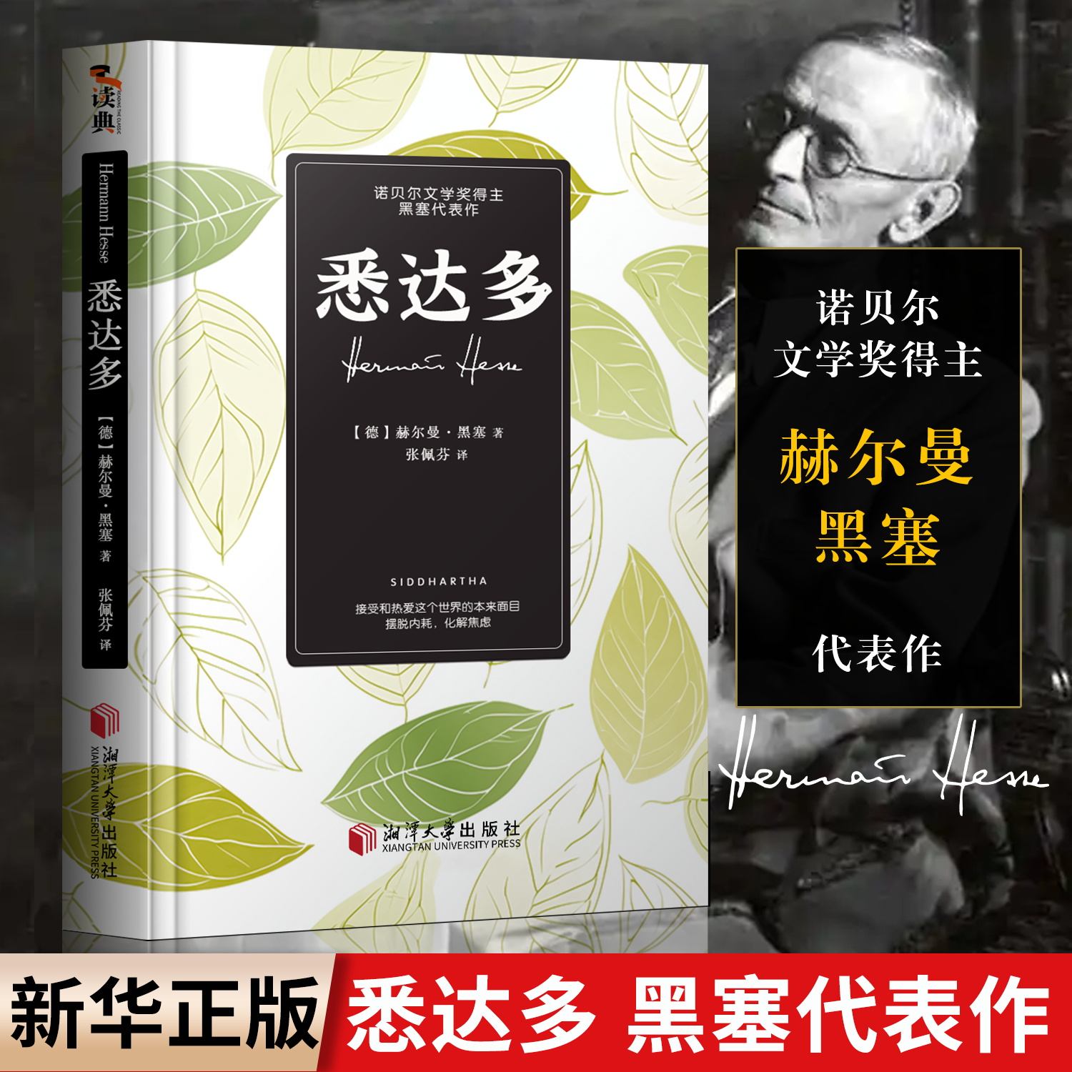 黑塞作品集】悉达多 +荒原狼+在轮下+德米安德国文学彷徨少年时纳尔齐斯与歌尔德蒙 赫尔曼克林索尔的最后夏天精神与爱欲