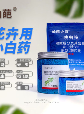 微毒安全防虫药仙葩呋虫胺蚧壳虫