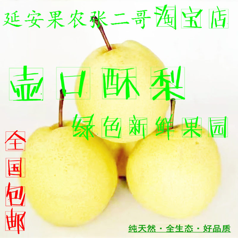 现摘现发延安宜川壶口瀑布酥梨无渣酥甜绿色特产水果包邮新鲜梨子