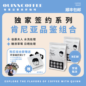 Quinncoffee肯尼亚伯爵夫人+糖渍草莓手冲冷萃冰滴咖啡2包+编织袋