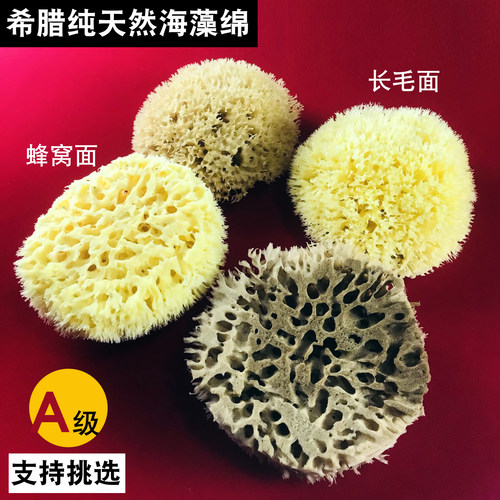 进口希腊天然海藻绵蜂窝海绵
