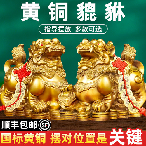 貔貅摆件招财旺财聚财纯铜公母一对家用办公室居家客厅霸王豸皮丘