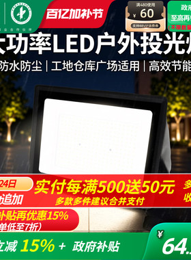 雷士照明220V户外市电投光灯大功率LED灯照明IP65防水工地庭院灯