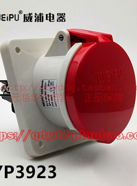 WEIPU 威浦连接器 TYP3923 暗装斜式插座 5芯（3P+N+E）63A  IP44