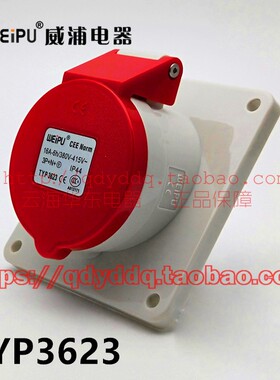 WEIPU 威浦连接器 TYP3623 暗装斜式插座 5芯（3P+N+E）16A  IP44