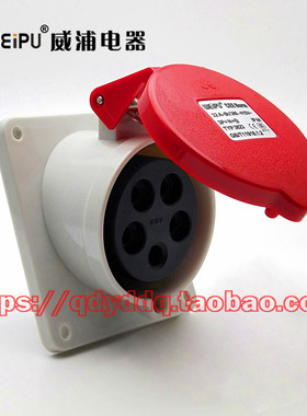 WEIPU 威浦连接器 TYP3823 暗装斜式插座 5芯（3P+N+E）32A  IP44