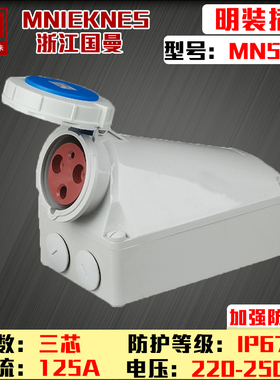 MN5312浙江国曼德标MNIEKNES220V三孔IP44蓝明装防水工业插座2P+E