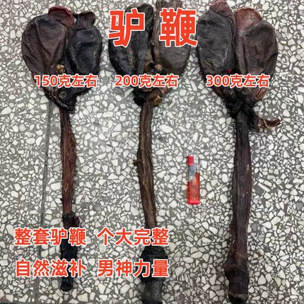 安国中药材市场批 发驴鞭正品种驴鞭整根全套驴鞭包邮