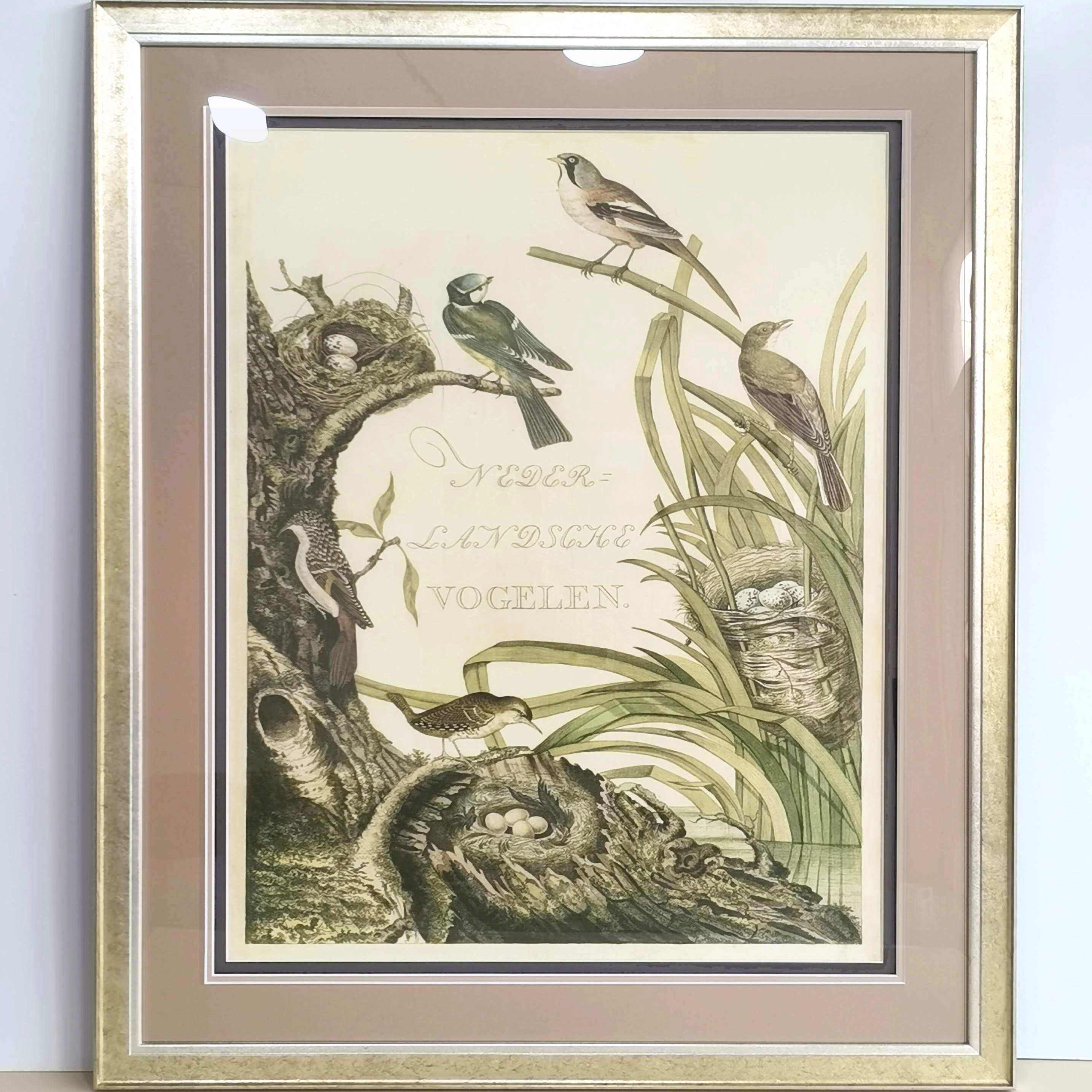 世纪欧博廊客厅玄关卧室美式高端装饰画可定制花鸟图谱奥杜邦乐园