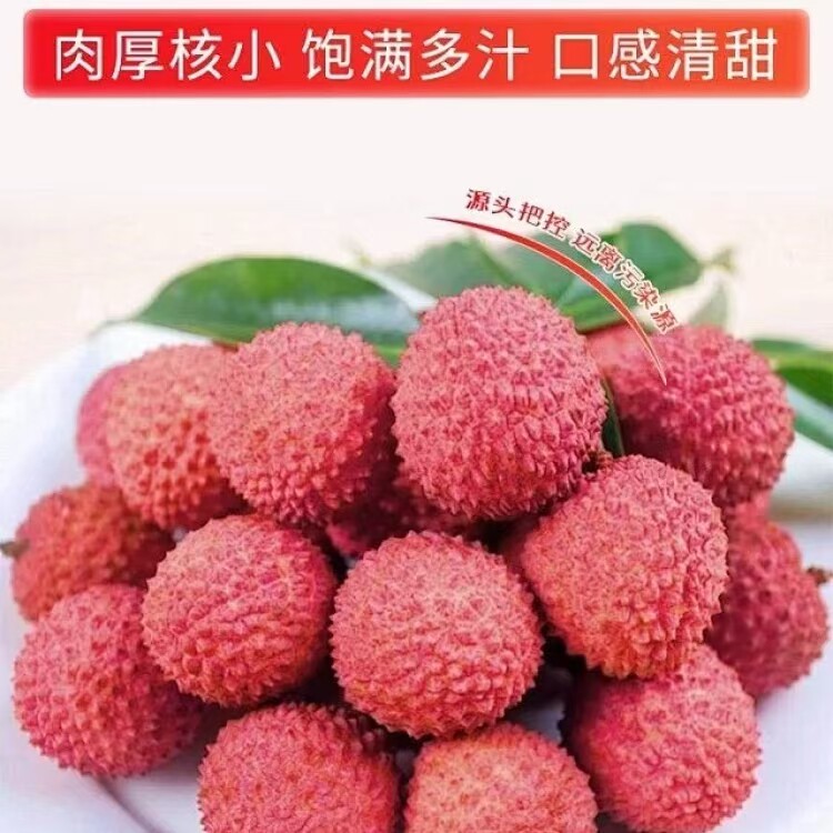 桂味荔枝甜如蜜新鲜直采坏果包赔
