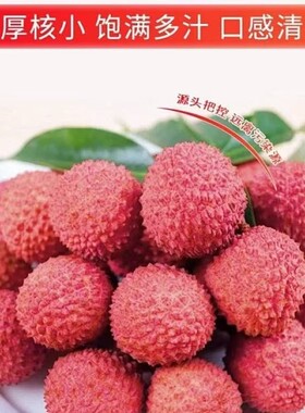 桂味荔枝甜如蜜新鲜直采坏果包赔