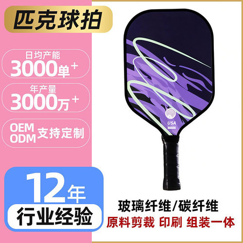 跨境现货新品玻纤匹克球拍套装户外运动匹克拍泡菜球拍Pickleball