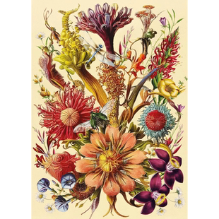 新款包邮Interdruk波兰进口益智拼图玩具1000片鲜花系列 缤纷花卉