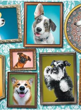 包邮trefl欧洲进口成人益智动物拼图10686狗狗画廊1000片减压玩具