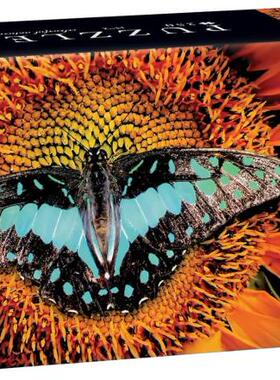 新款包邮 Interdruk波兰进口成人益智拼图 蝴蝶250大片彩色大自然