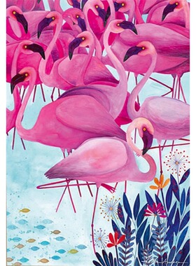 包邮 D-Toys罗马尼亚进口益智动物拼图72887TR02火烈鸟1000片