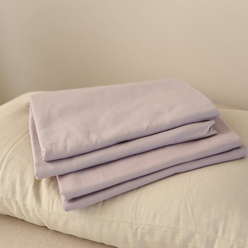 外贸出口纯色加厚保暖床单被套