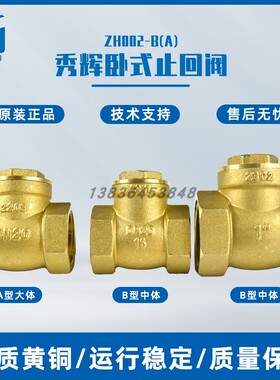 秀辉ZH002-B卧式止回阀中体黄铜止回阀大体挡板水泵止回阀单向阀
