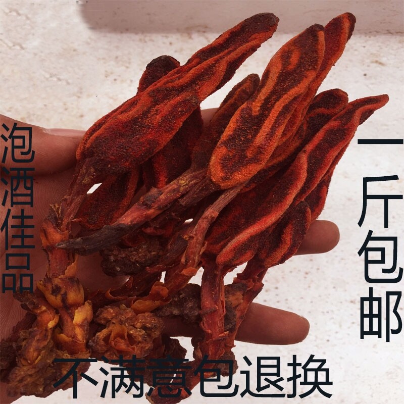 中药材 文王一支笔 500g克 红冬蛇菰 鹿仙草蛇菇 不老根 借母怀胎