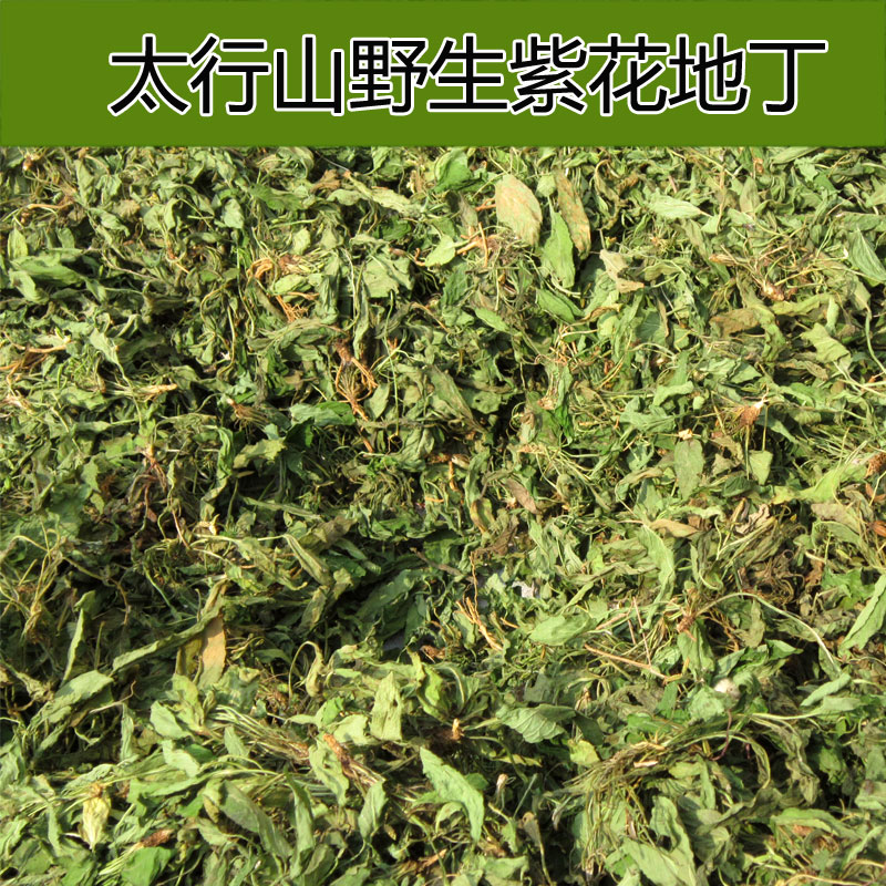 野生紫花地丁全草晒干500g犁头草