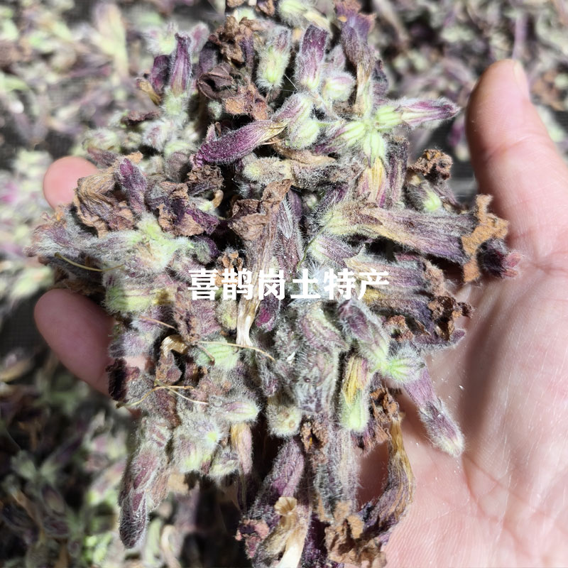 野生地黄花太行山野生蜜蜜罐地髓花干花朵 生地黄花干货100g