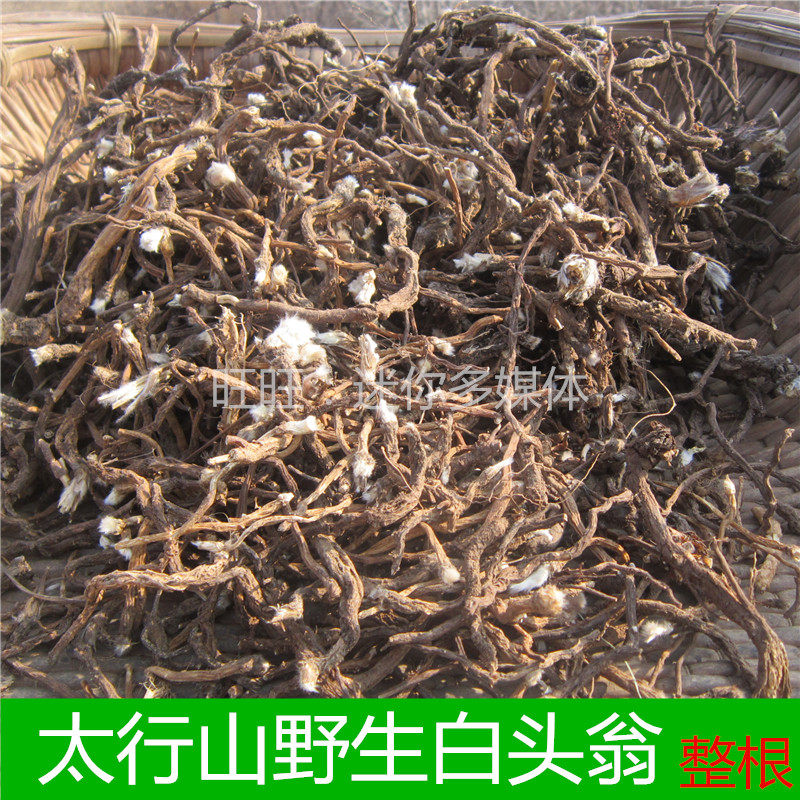 野生白头翁干货整根太行山中药材