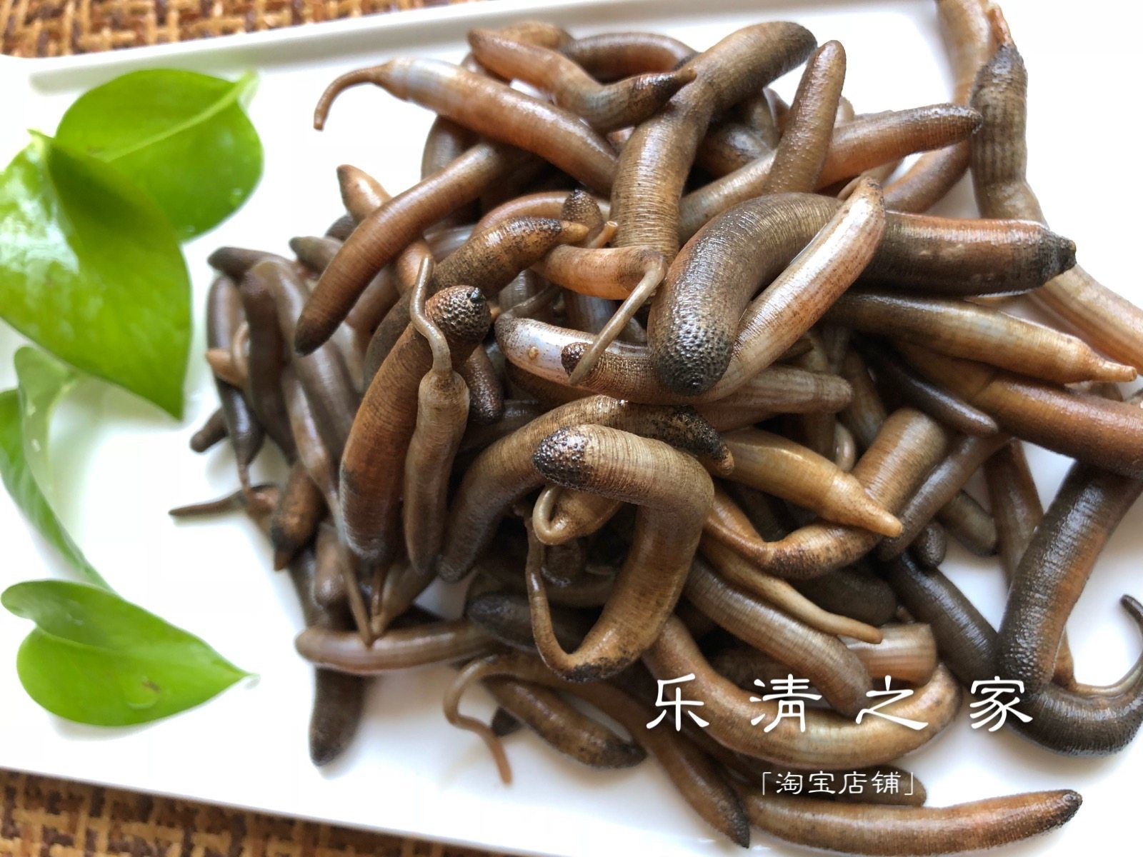【海蚯蚓】滩涂蒜活鲜海鲜沙虫土笋冻羹汤煎蛋带泥350克 乐清之家