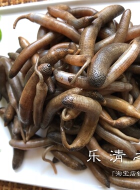【海蚯蚓】滩涂蒜活鲜海鲜沙虫土笋冻羹汤煎蛋带泥350克 乐清之家